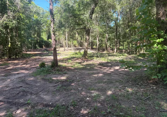 3rd image of 25111 N Clear Creek Rd, Hockley, TX 77447 | MLS# 38495556