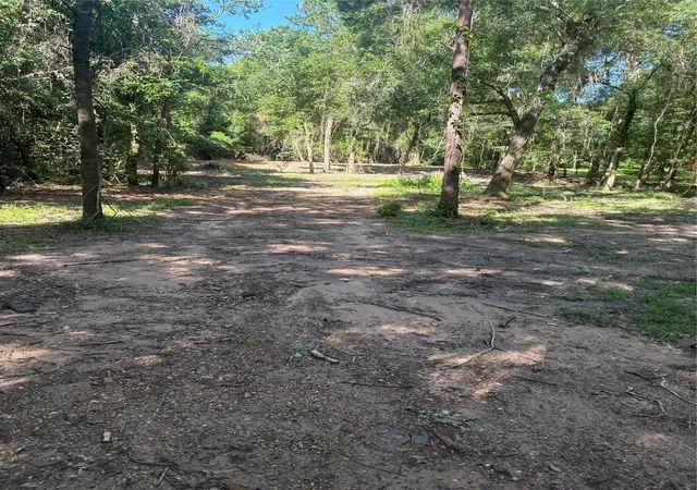 4th image of 25111 N Clear Creek Rd, Hockley, TX 77447 | MLS# 38495556