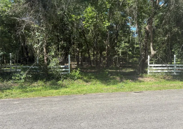 5th image of 25111 N Clear Creek Rd, Hockley, TX 77447 | MLS# 38495556