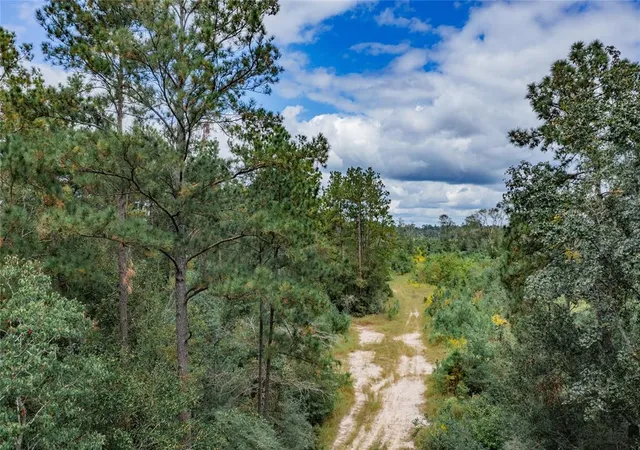 3rd image of 00 County Road 331,Gulf Road, Cleveland, TX 77327 | MLS# 89133727