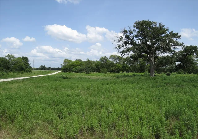 3rd image of Tbd Southfield Ct, Lovelady, TX 75851 | MLS# 74275848