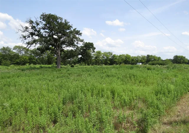 4th image of Tbd Southfield Ct, Lovelady, TX 75851 | MLS# 74275848