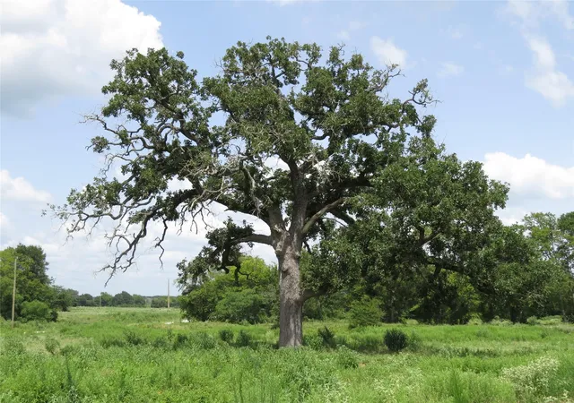 5th image of Tbd Southfield Ct, Lovelady, TX 75851 | MLS# 74275848