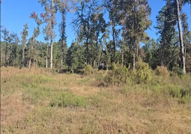 1st image of Tract C 3 Gaff Rd, Magnolia, TX 77355 | MLS# 68329567