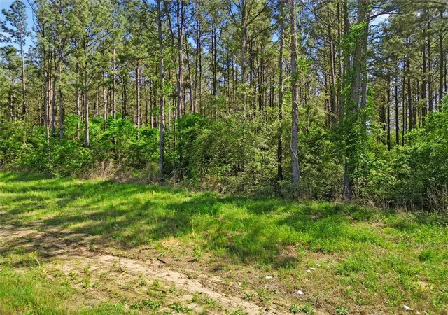 Photo 3 of Land for sale at 15297 Forest Grove Dr, Willis, TX 77378 | MLS# 4792173 | Listing updated on 2026-07-07