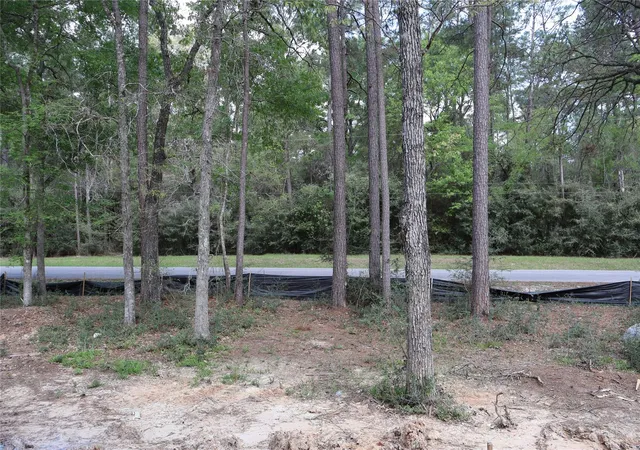 5th image of 303 Pelican St, Magnolia, TX 77355 | MLS# 78012378