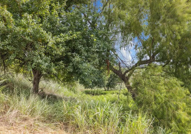 3rd image of 230 Vineyard View Trail Lot 24, Carmine, TX 78932 | MLS# 42889890