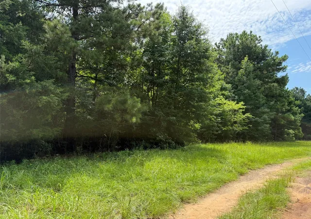 18th image of 462 Cr 1655, Crockett, TX 75835 | MLS# 23495760