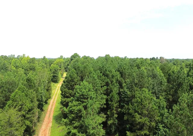 2nd image of 462 Cr 1655, Crockett, TX 75835 | MLS# 23495760