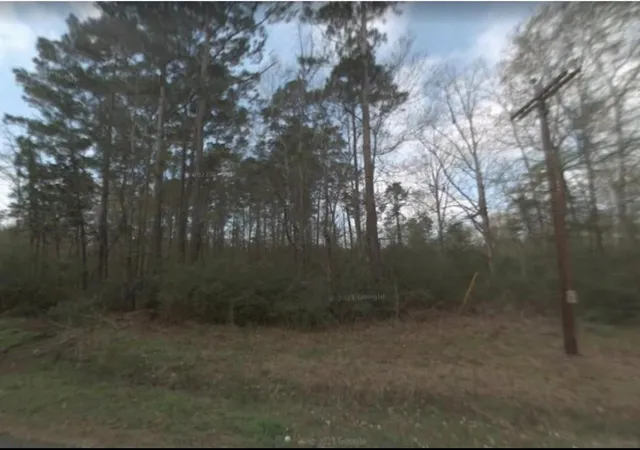 Photo 2 of Land for sale at 0 Chris Brent Dr, Livingston, TX 77351 | MLS# 50949334 | Listing updated on 2026-08-20