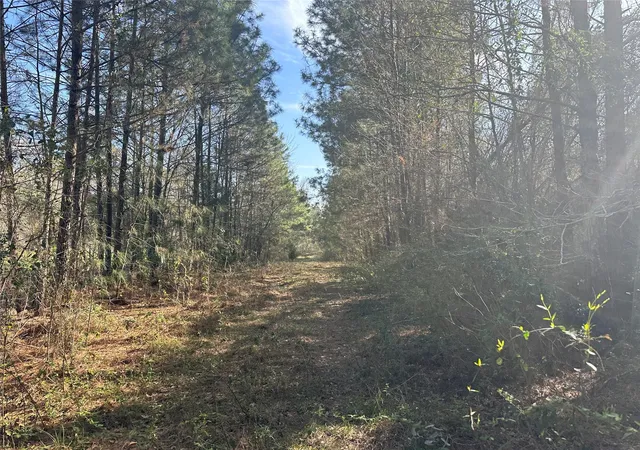 1st image of Tbd Road 3813, Cleveland, TX 77328 | MLS# 68377942