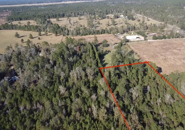4th image of Tbd Road 3813, Cleveland, TX 77328 | MLS# 68377942