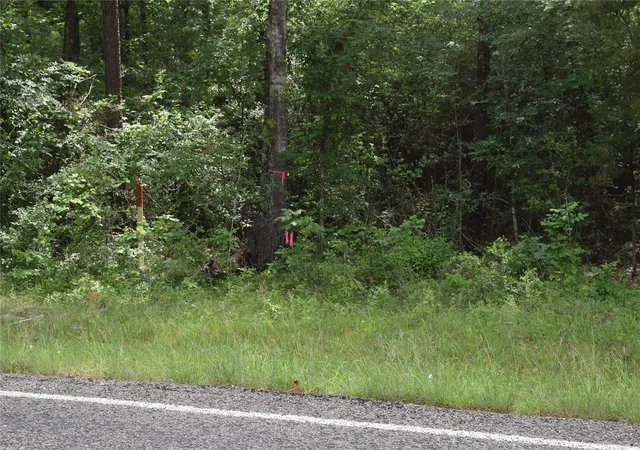 4th image of 00 Fm 2665, Goodrich, TX 77335 | MLS# 25014486