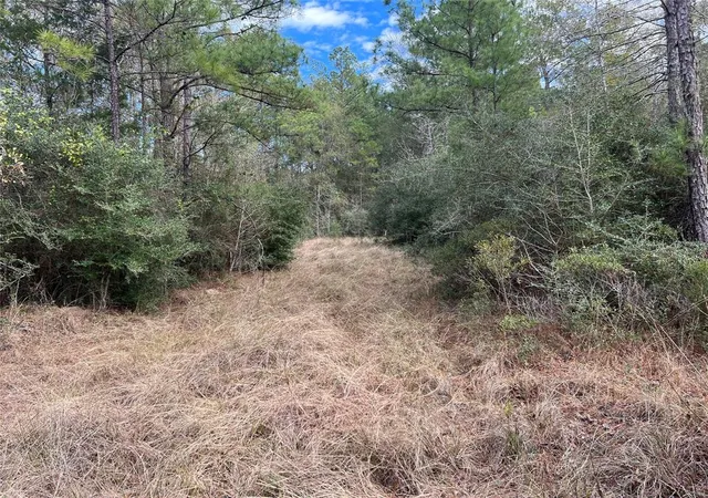 Photo 3 of Land for sale at Tbd Hwy 59 Loop, Livingston, TX 77351 | MLS# 44449686 | Listing updated on 2026-09-22