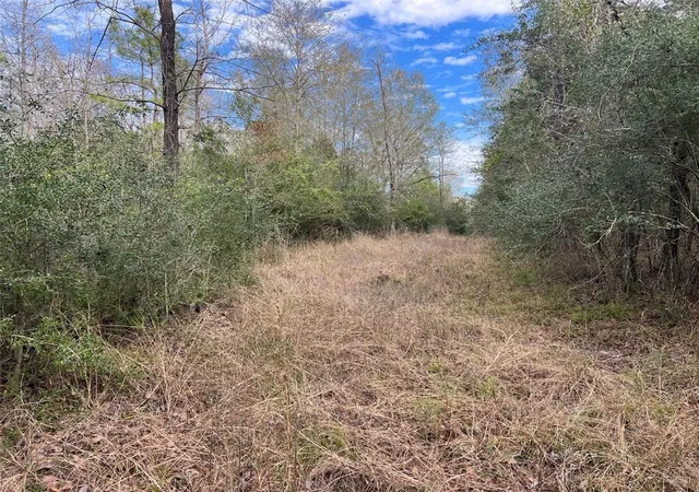 Photo 4 of Land for sale at Tbd Hwy 59 Loop, Livingston, TX 77351 | MLS# 44449686 | Listing updated on 2026-09-22