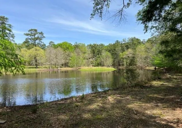 Homes for sale in Plantersville, TX | 9296 County Road 302, Plantersville, TX 77363 | MLS# 64108051