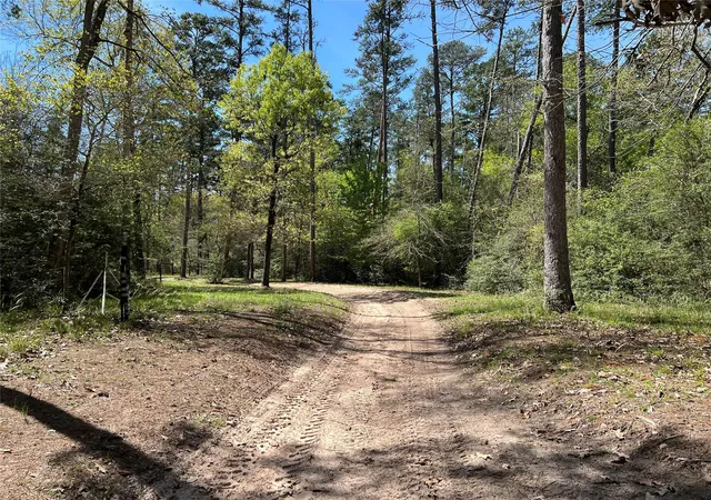 Homes for sale in Plantersville, TX | 9296 County Road 302, Plantersville, TX 77363 | MLS# 64108051