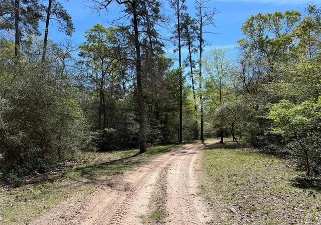 Photo 3 of Land for sale at 9296 County Rd 302, Plantersville, TX 77363 | MLS# 64108051 | Listing updated on 2026-07-09
