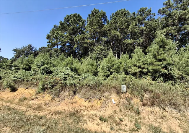 Photo 2 of Land for sale at 326 County Road 3545, Cleveland, TX 77327 | MLS# 82883738 | Listing updated on 2026-08-22