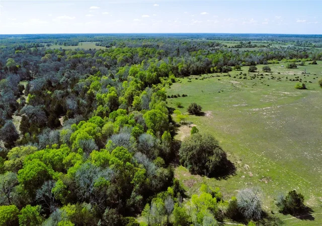 Photo 3 of Land for sale at Tbd County Rd 138, Hallettsville, TX 77964 | MLS# 90032381 | Listing updated on 2026-03-31