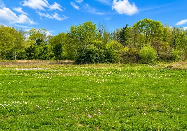 3rd image of Tbd W Fm 1161, Wharton, TX 77488 | MLS# 22116165