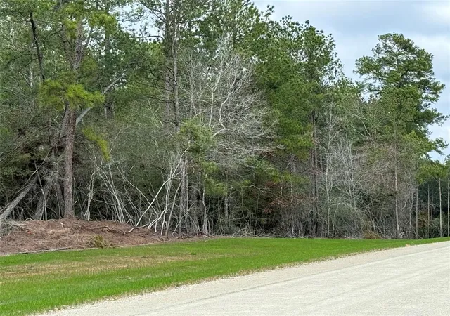 Photo 3 of Land for sale at 10621 Devotion Rd, Willis, TX 77378 | MLS# 51835916 | Listing updated on 2026-09-20