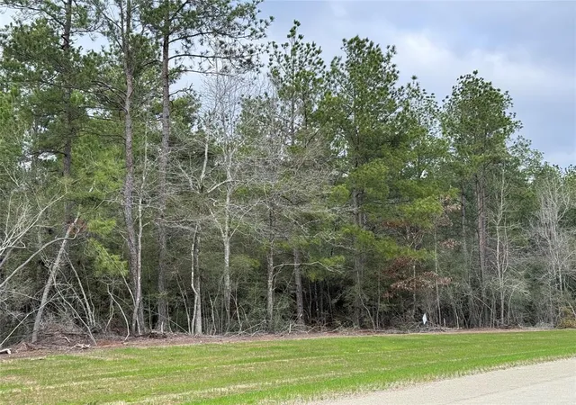 Photo 4 of Land for sale at 10621 Devotion Rd, Willis, TX 77378 | MLS# 51835916 | Listing updated on 2026-09-20