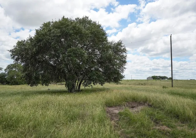 1st image of 1432 S Knezek Rd, Flatonia, TX 78941 | MLS# 85983498