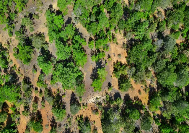 Photo 10 of Land for sale at 000 Fcr 255, Fairfield, TX 75840 | MLS# 64305778 | Listing updated on 2026-08-26