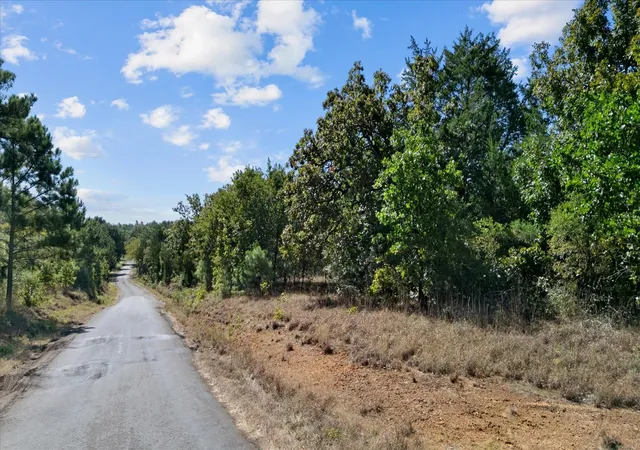 Land for sale at 000 Fcr 255, Fairfield, TX 75840 | MLS# 64305778