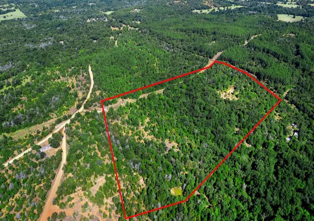 Photo 3 of Land for sale at 000 Fcr 255, Fairfield, TX 75840 | MLS# 64305778 | Listing updated on 2026-08-26
