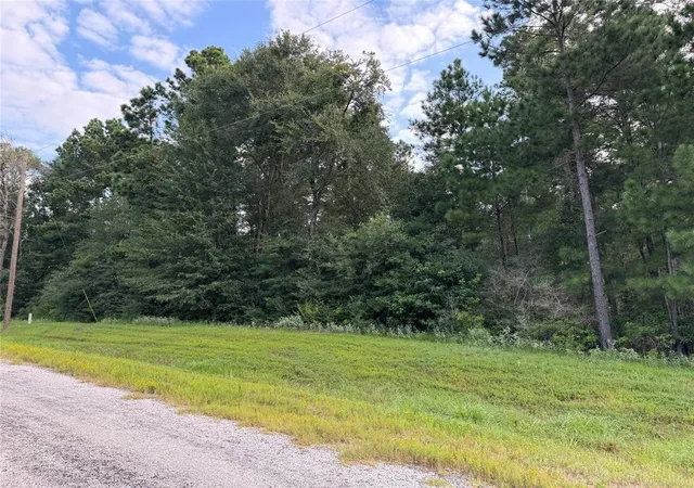 Photo 3 of Land for sale at 4B-6-205 Single Shot Ct, Huntsville, TX 77340 | MLS# 62687530 | Listing updated on 2026-09-12