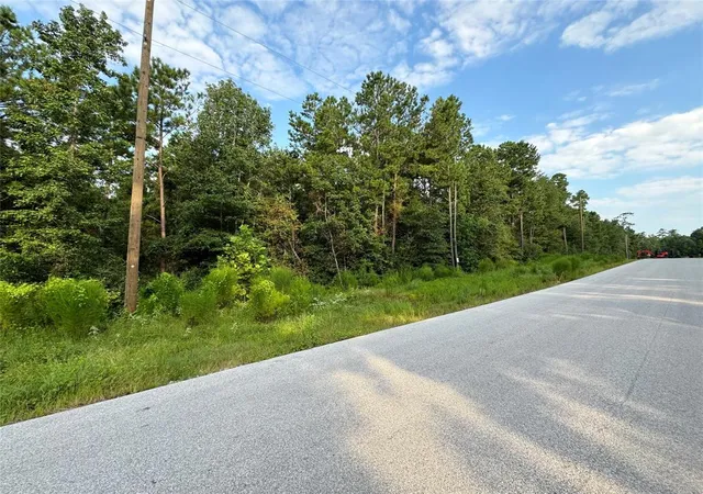 Photo 4 of Land for sale at 4B-6-205 Single Shot Ct, Huntsville, TX 77340 | MLS# 62687530 | Listing updated on 2026-09-12