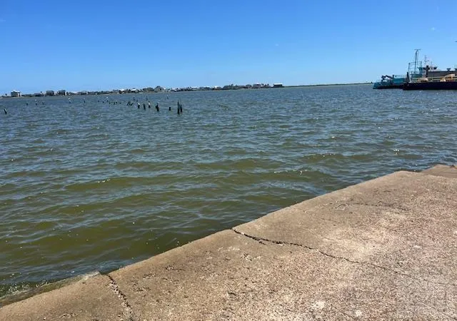 Photo 1 of Land for sale at 9705 Teichman Road, Galveston, TX 77554 | MLS# 46291360 | Listing updated on 2026-08-24