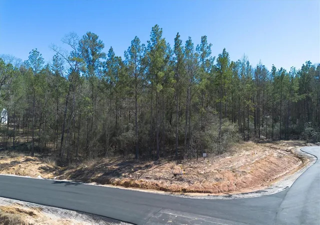 Photo 1 of Land for sale at 4521 Marfa Ct, Montgomery, TX 77316 | MLS# 25010889 | Listing updated on 2026-07-23
