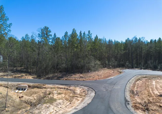 Photo 2 of Land for sale at 4521 Marfa Ct, Montgomery, TX 77316 | MLS# 25010889 | Listing updated on 2026-07-23