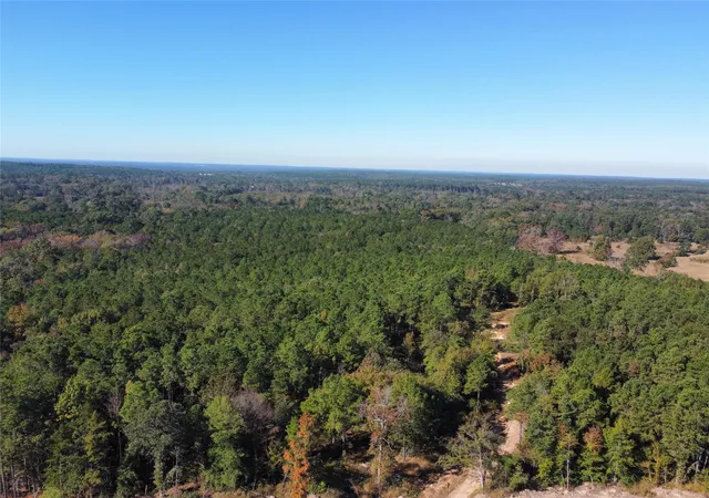 Homes for sale in Jefferson, TX | 781 Sand Country Road, Jefferson, TX 75657 | MLS# 37662266