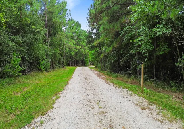 Homes for sale in New Waverly, TX | Tbd Big Woods Rd, New Waverly, TX 77358 | MLS# 92950005
