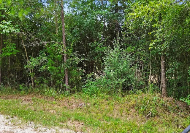Homes for sale in New Waverly, TX | Tbd Big Woods Rd, New Waverly, TX 77358 | MLS# 92950005