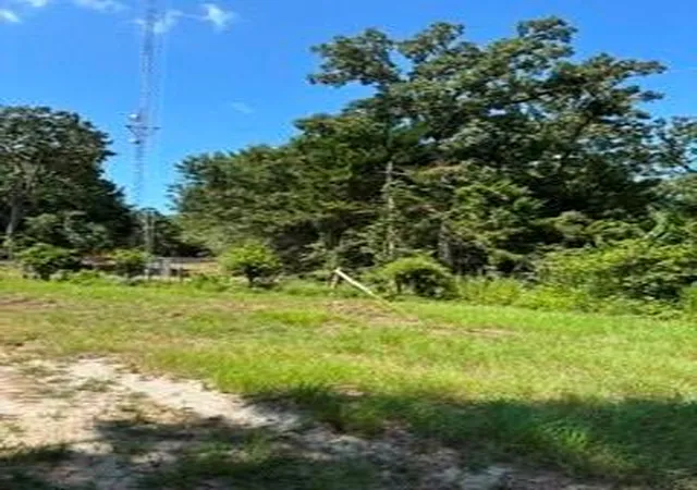 Photo 3 of Land for sale at Tbd County Rd 488, Normangee, TX 77871 | MLS# 26526154 | Listing updated on 2026-08-28