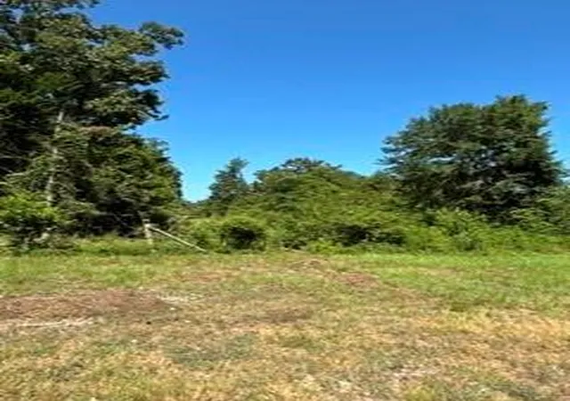 Photo 4 of Land for sale at Tbd County Rd 488, Normangee, TX 77871 | MLS# 26526154 | Listing updated on 2026-08-28