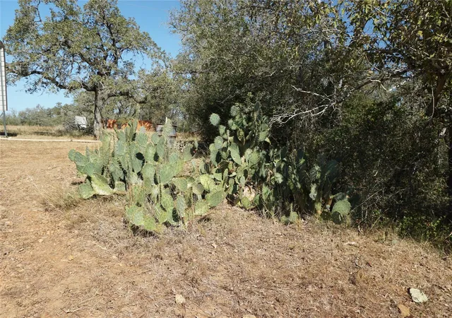27th image of 0 Old Seguin Luling Road, Kingsbury, TX 78638 | MLS# 71554422