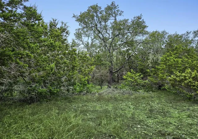 32nd image of 157 Verbena Cir, Spring Branch, TX 78070 | MLS# 20586040