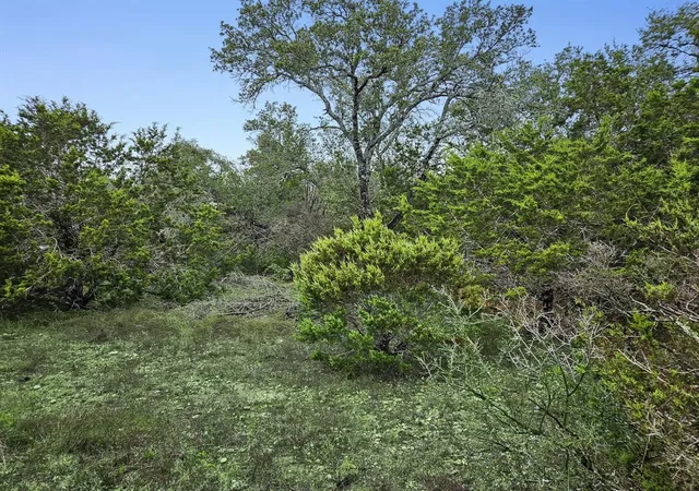 3rd image of 157 Verbena Cir, Spring Branch, TX 78070 | MLS# 20586040