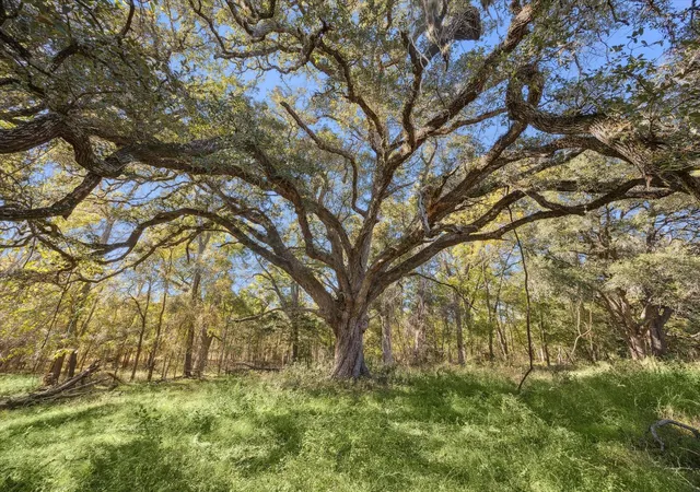 5th image of 6230 Kovar Rd, Fayetteville, TX 78940 | MLS# 24448902
