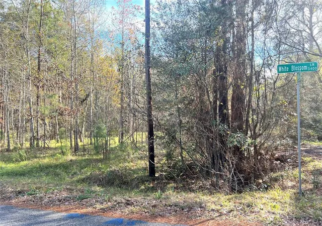 Photo 3 of Land for sale at 3402 White Blossom, Humble, TX 77338 | MLS# 50959541 | Listing updated on 2026-08-25
