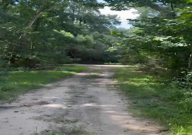 Photo 4 of Land for sale at 3402 White Blossom, Humble, TX 77338 | MLS# 50959541 | Listing updated on 2026-08-25
