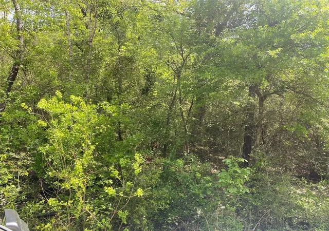 Photo 1 of Land for sale at 00 Hollybrook Dr, Plantersville, TX 77363 | MLS# 27785278 | Listing updated on 2026-01-01