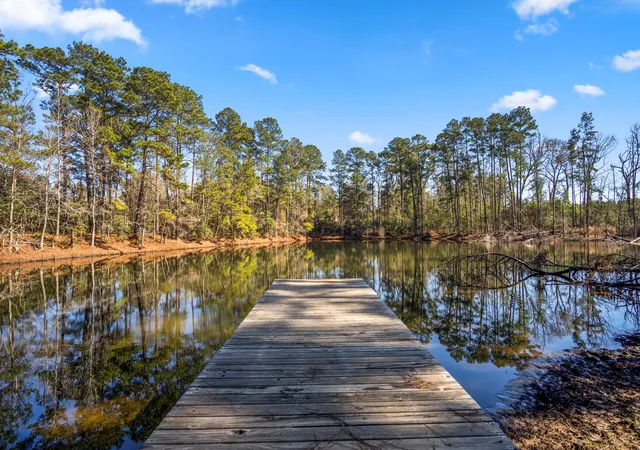 Photo 50 of Land for sale at 3603 Fm 1725, Willis, TX 77378 | MLS# 82956325 | Listing updated on 2026-05-07