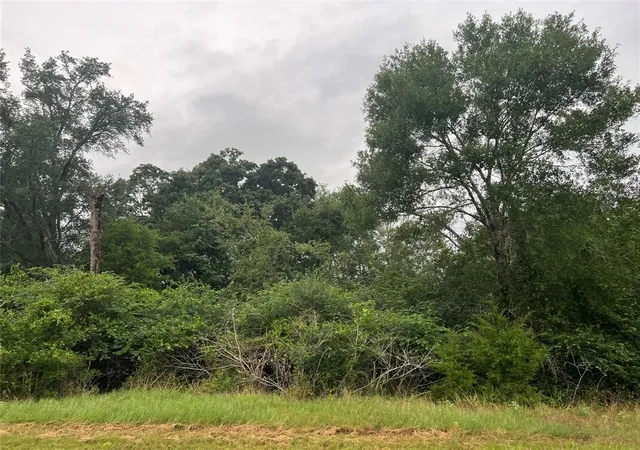 Homes for sale in Hempstead, TX | 1415 25Th Street, Hempstead, TX 77445 | MLS# 67985006
